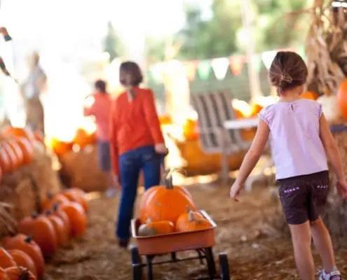 Cute Little Girls Pulling Their Pumpkins In A Wagon At A Pumpkin Patch One Fall Day.