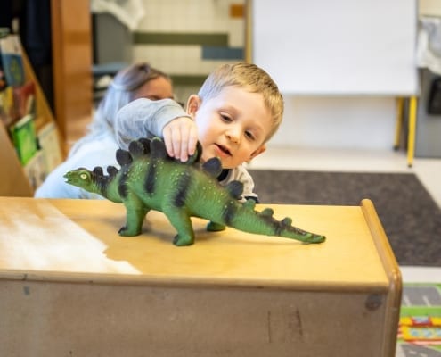 Little boy play dinosaur toy