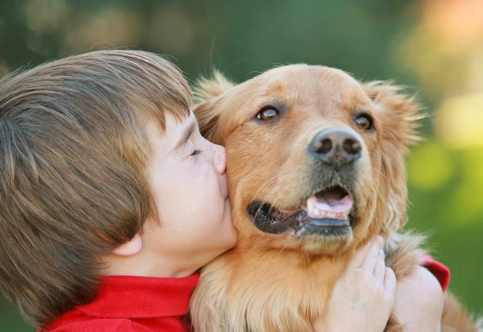 Little boy kiss a dog